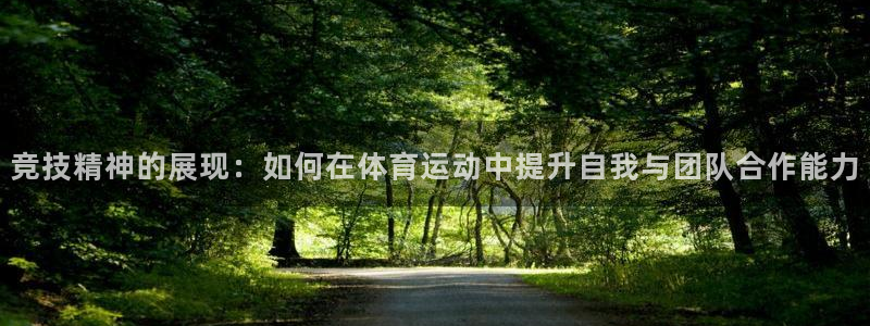 哈哈体育十年