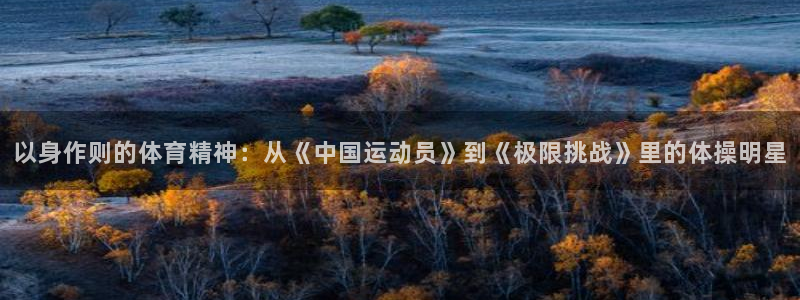 哈哈体育下载