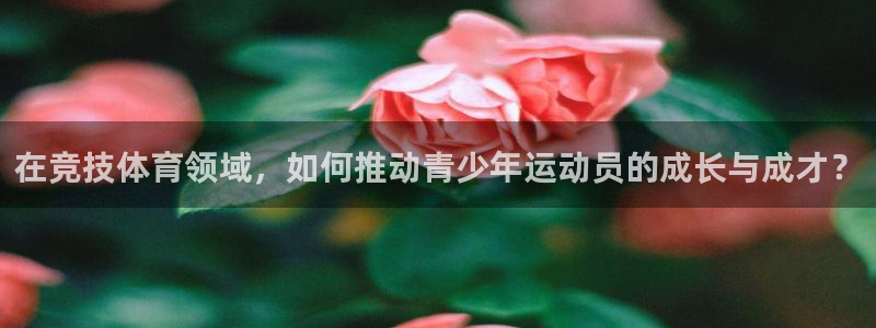哈哈体育十年