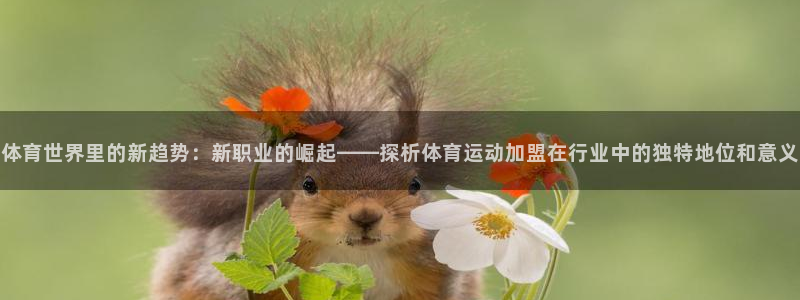 哈哈体育十年