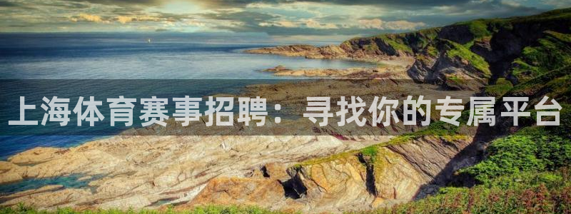 哈哈体育十年