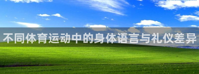 哈哈体育十年
