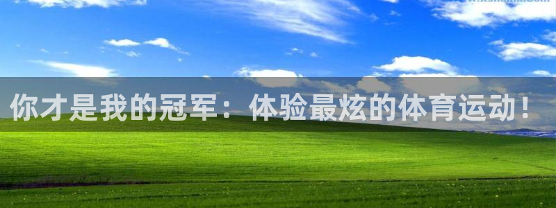 哈哈体育下载