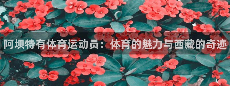 哈哈体育