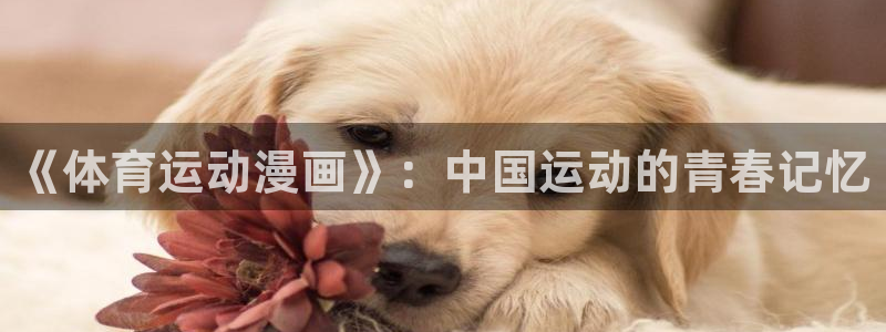 哈哈体育下载