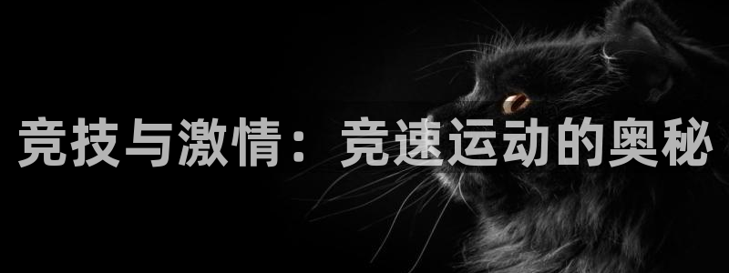 哈哈体育下载