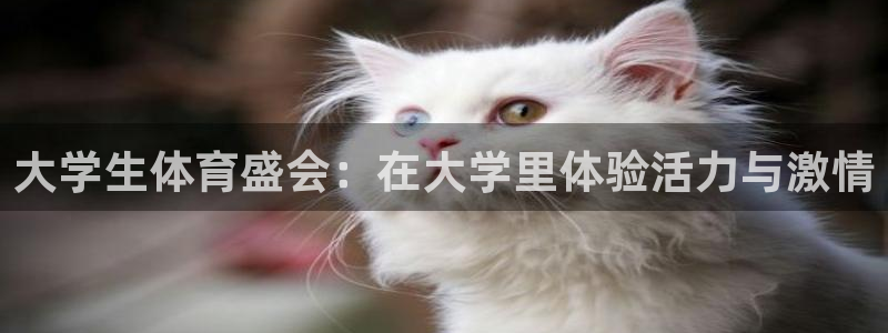 哈哈体育十年