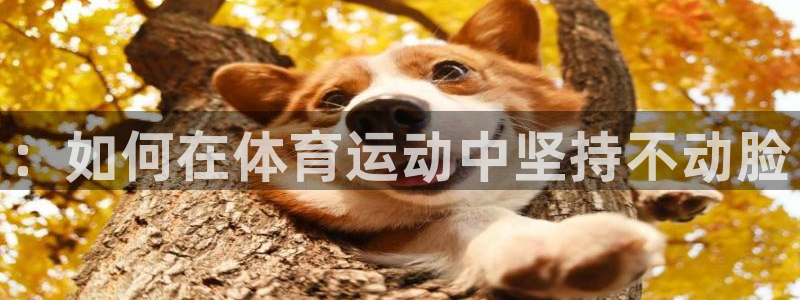 哈哈体育
